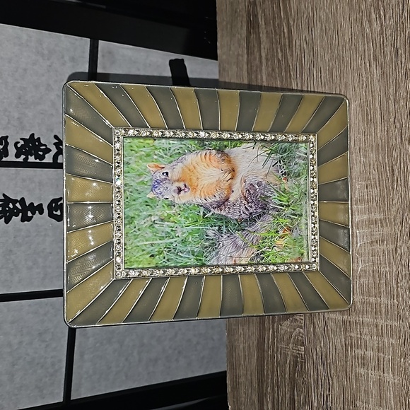 NobleCaptures Other - Embellished Sunburst Framed 4x6 Happy Cute Squirrel Photography Print